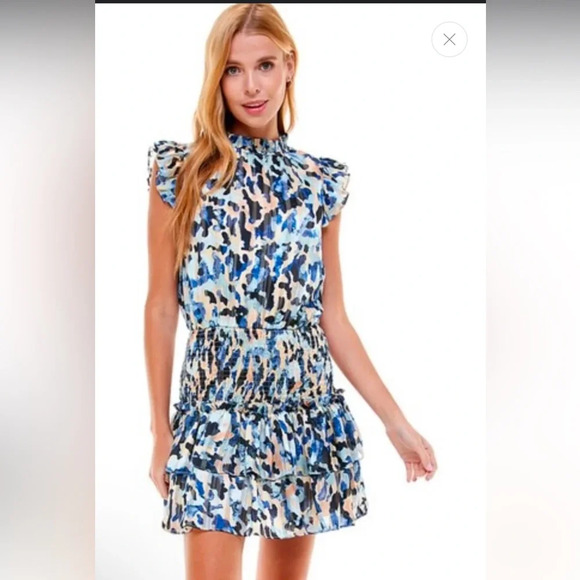 TCEC Animal Print Dress High Neck Smocked Waist Tiered Hem Back Keyhole Sz M - Picture 2 of 13